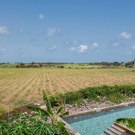 T2 Moderne Avec Piscine Oasis De Nature Et Serenite Petit-Canal Exteriör bild