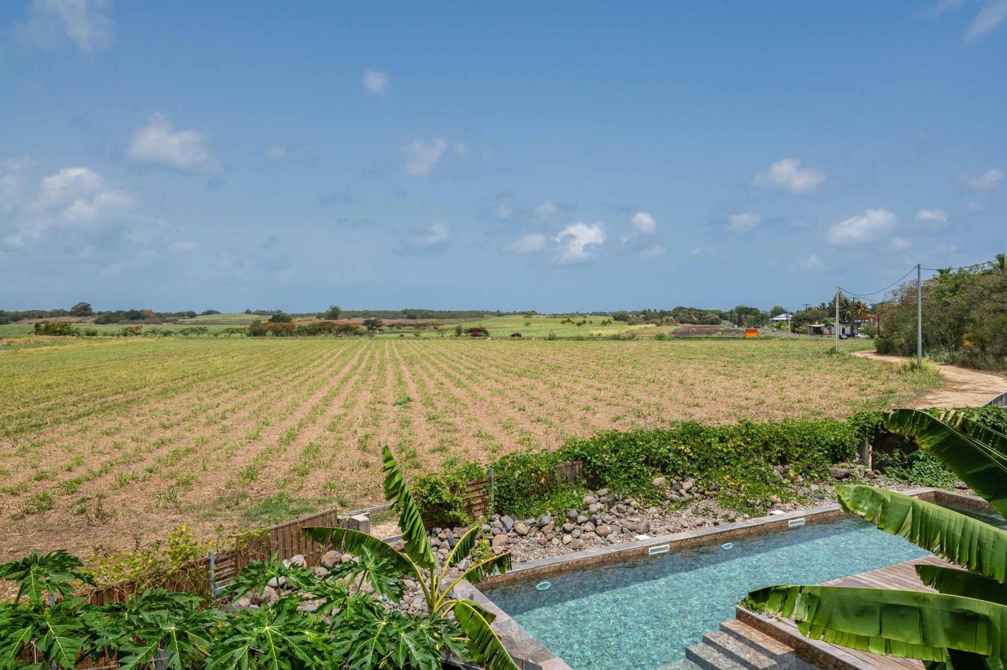 T2 Moderne Avec Piscine Oasis De Nature Et Serenite Petit-Canal Exteriör bild